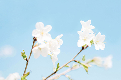 攀枝花市第九中学招生办联系电话